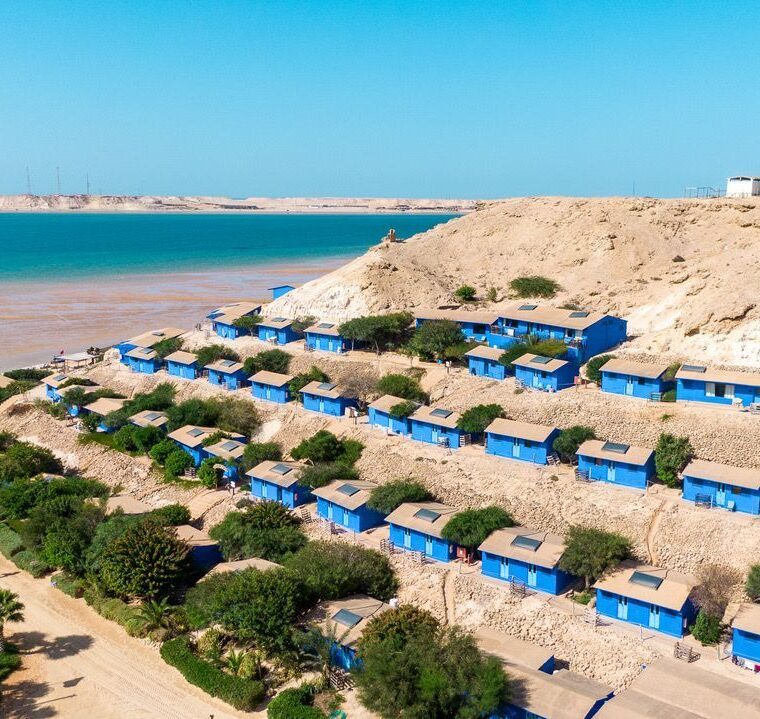 WhatsApp Image 2026-03-18 at 16.12.29 (2)